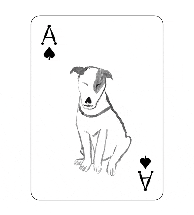 狗奴设计的扑克牌2.gif