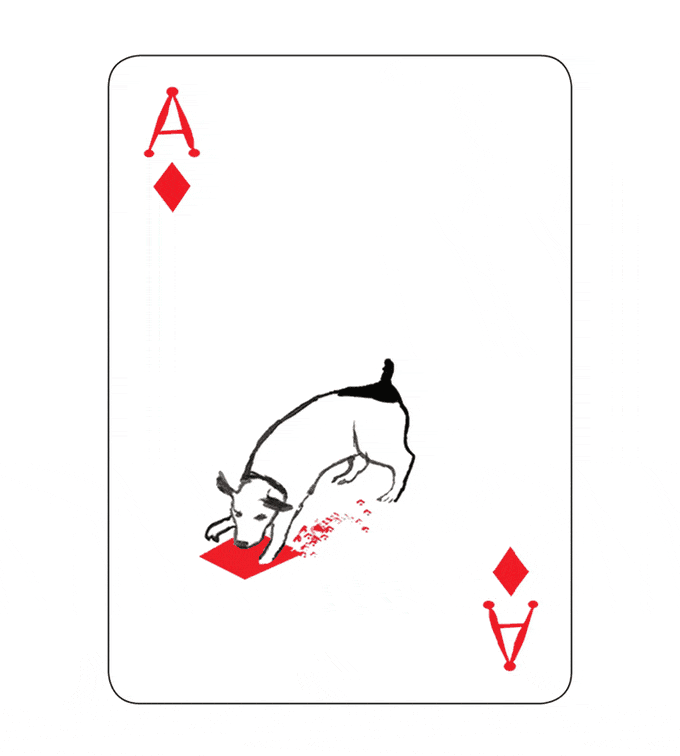 狗奴设计的扑克牌3.gif