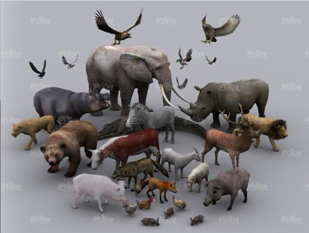 23个野生动物模型包