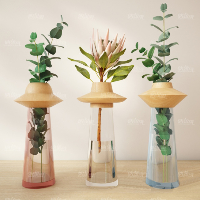 水培植物花瓶模型