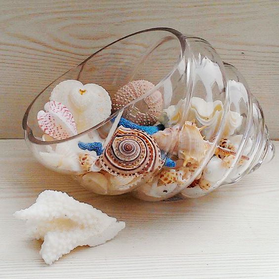 海螺创意玻璃瓶橱窗设计装饰品