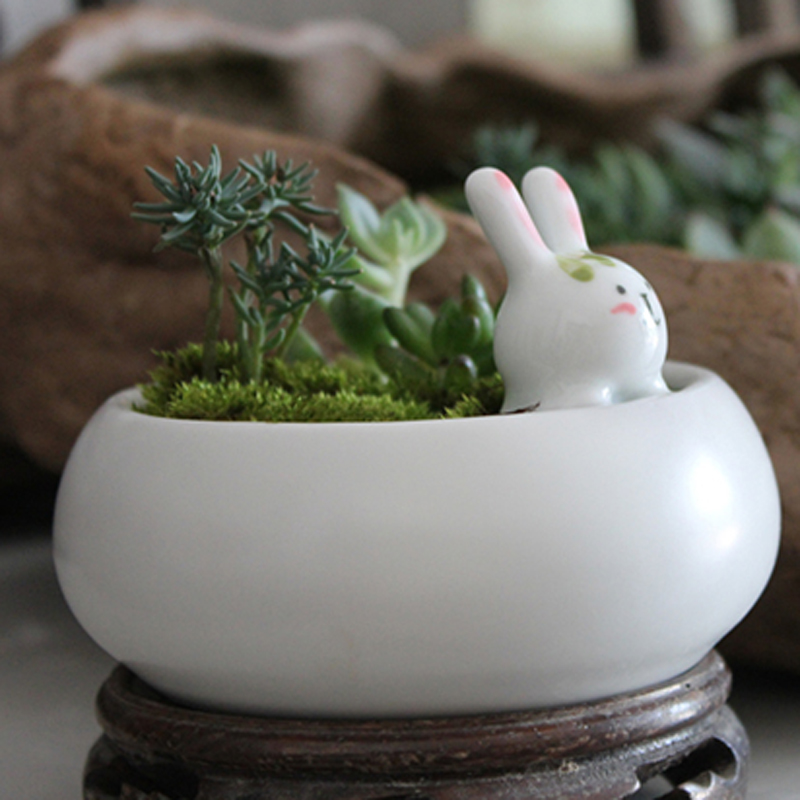 萌兔创意陶瓷花盆