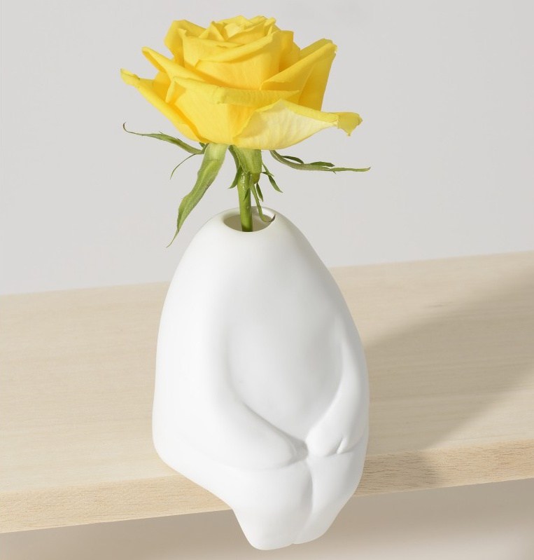 拟人化的鲜花花瓶，像一个安静的好朋友
