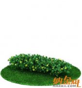 植物树木3D模型36