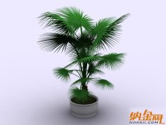 [模型] 3D植物模型004-37套7