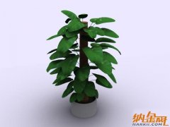 3D植物模型004-37套2