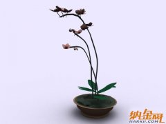 3D植物模型004-37套5