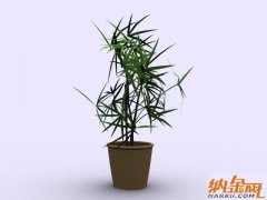 3D植物模型004-37套6